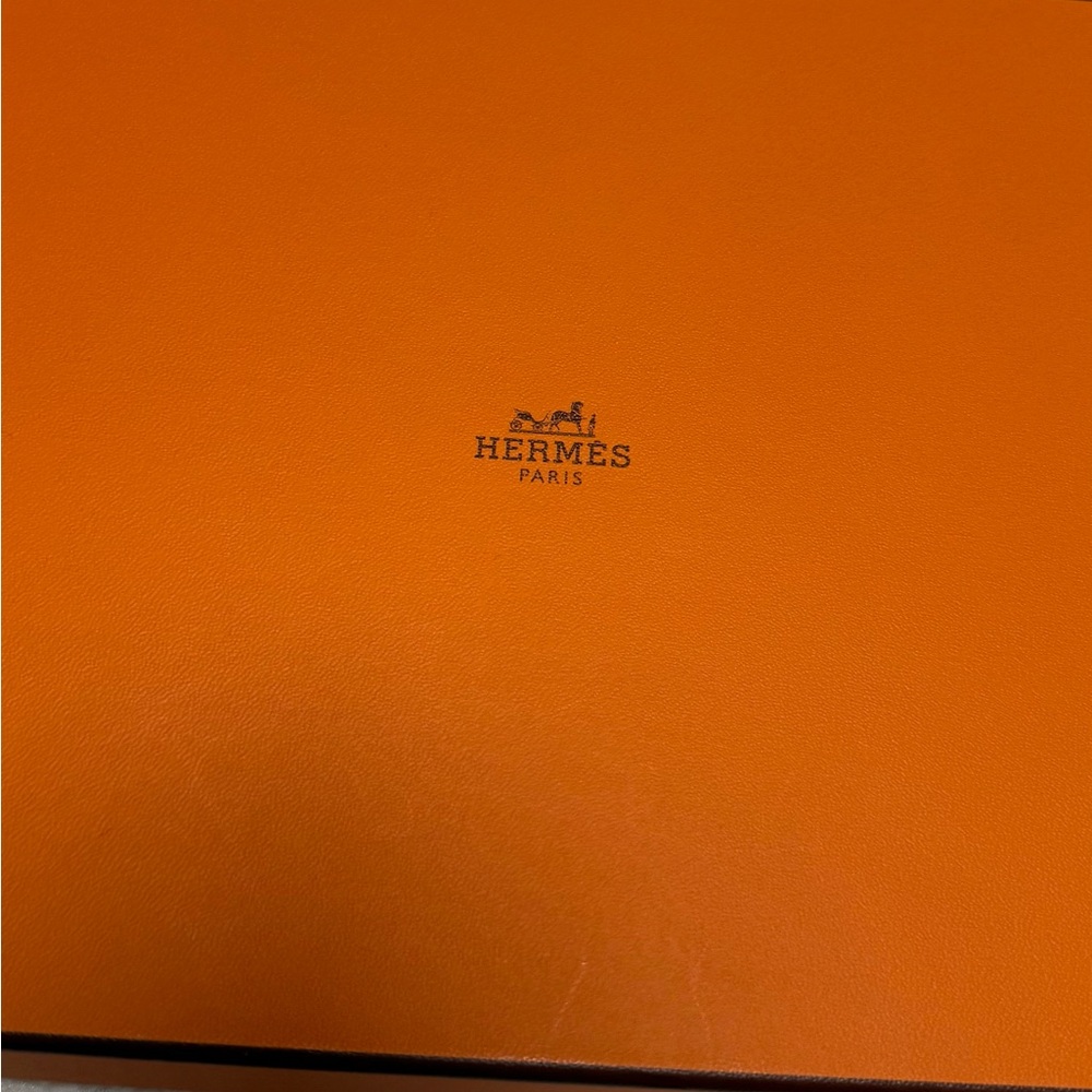 Hermes Pattern Triangular Scarf [OS] - image 4